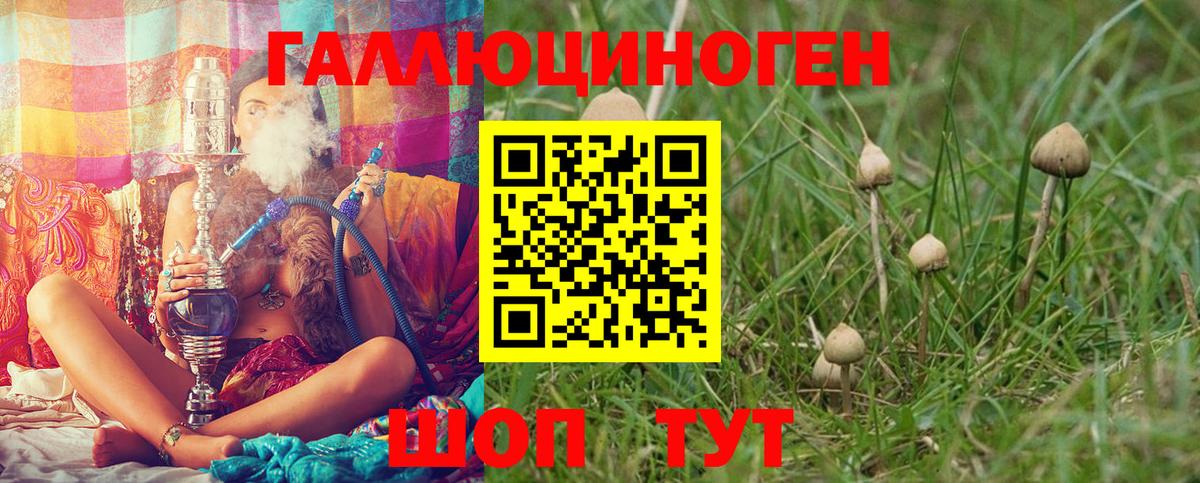 Псилоцибиновые грибы Cubensis Тавда