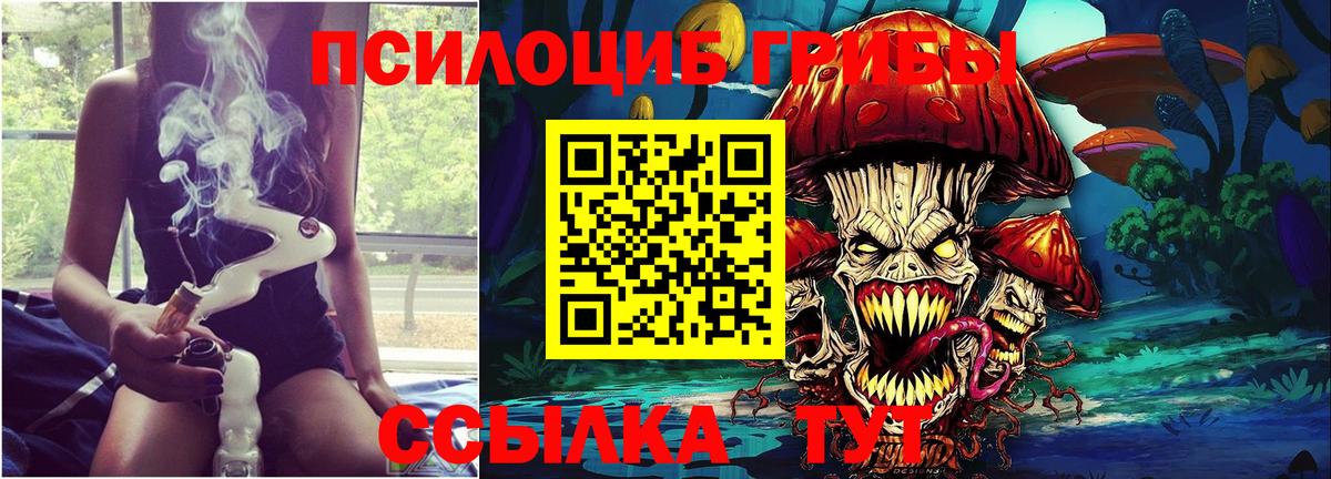 Галлюциногенные грибы MAGIC MUSHROOMS  Вход с VPN  Галлюциногенные грибы MAGIC MUSHROOMS  Тавда 